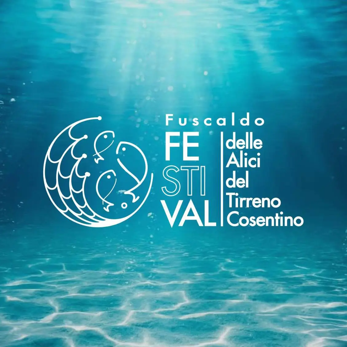 Alici in Festival 2025